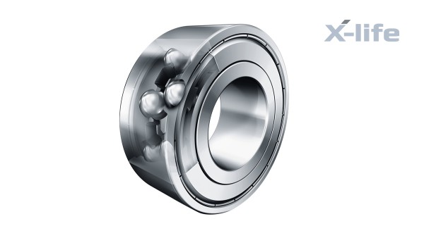 Schaeffler Zweireihige Schrägkugellager