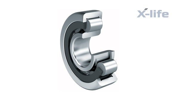 Schaeffler Zylinderrollenlager mit Käfig