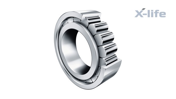 Schaeffler Vollrollige Zylinderrollenlager